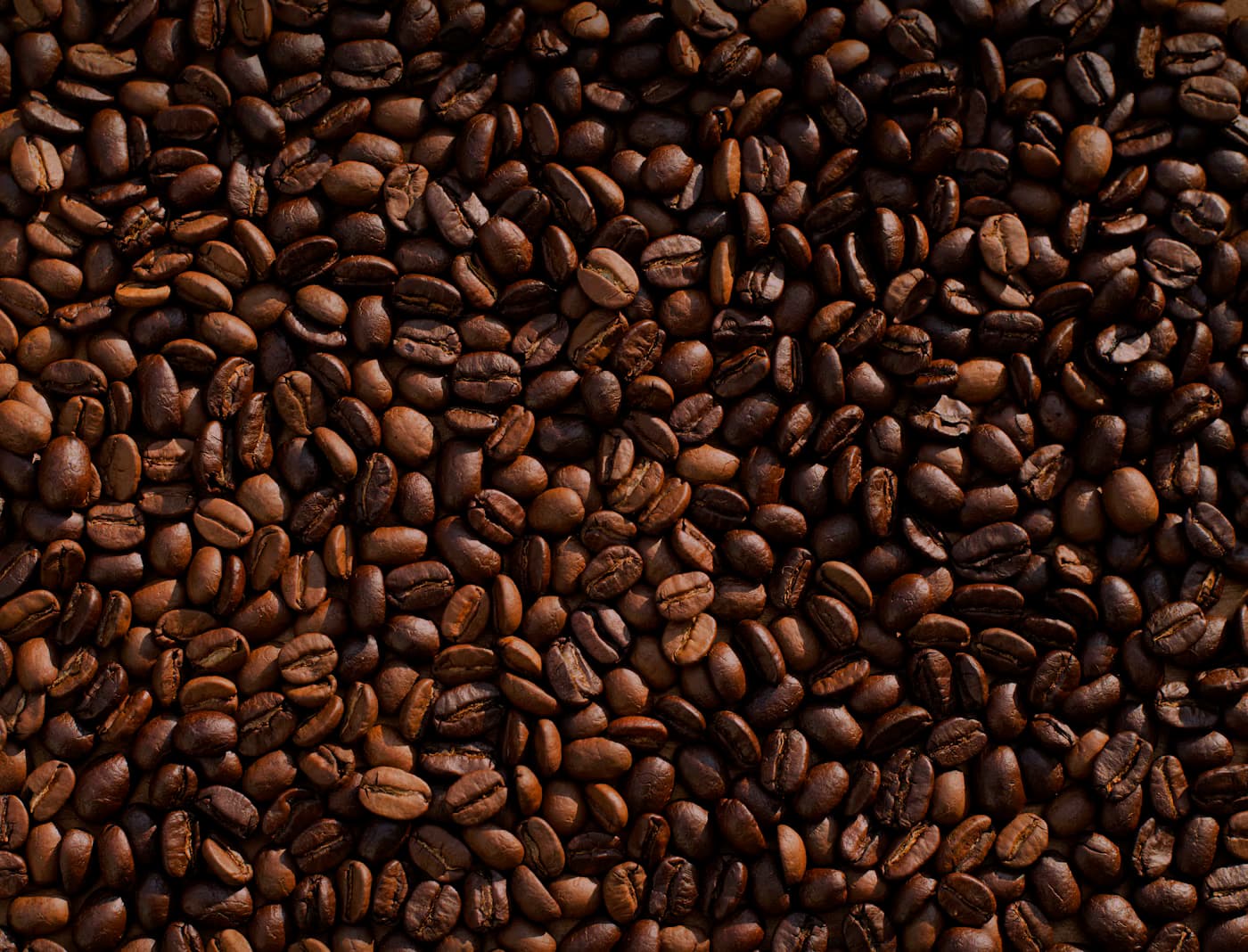 Cafezal — imagem ilustrativa