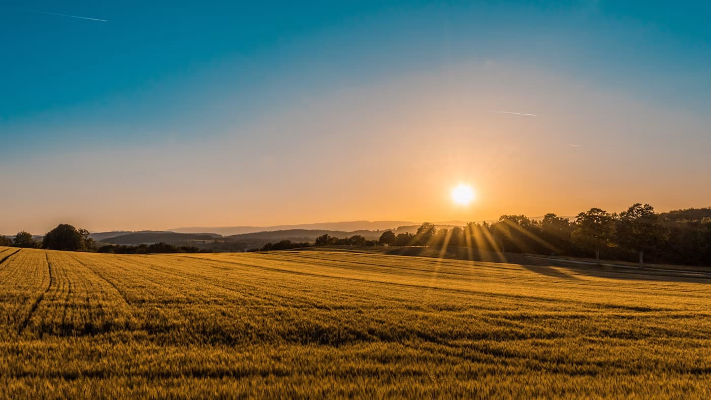 Paisagem agrícola — imagem ilustrativa